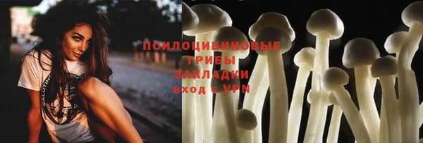 стафф Абинск