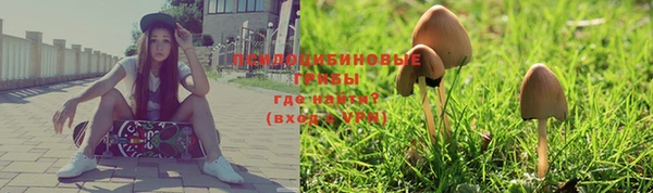 таблы Алексеевка