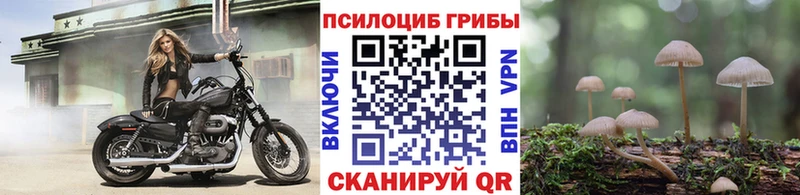 Псилоцибиновые грибы GOLDEN TEACHER  где купить наркотик  Котлас 